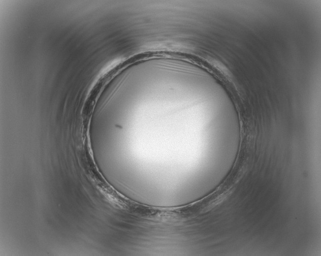 X0000078290974200611172118