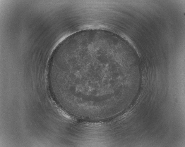 X0000078290975200611172118