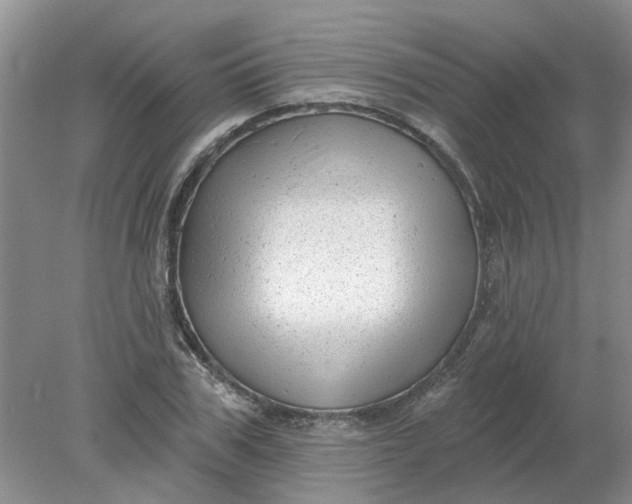 X0000078290979200611172118