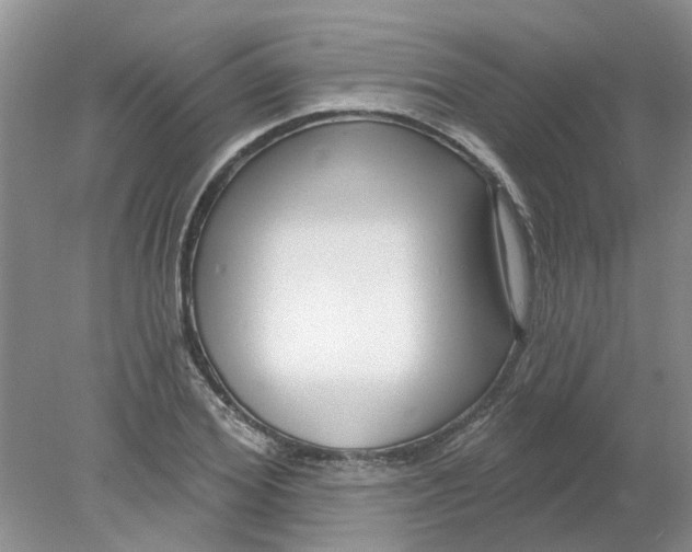 X0000078290980200611172118