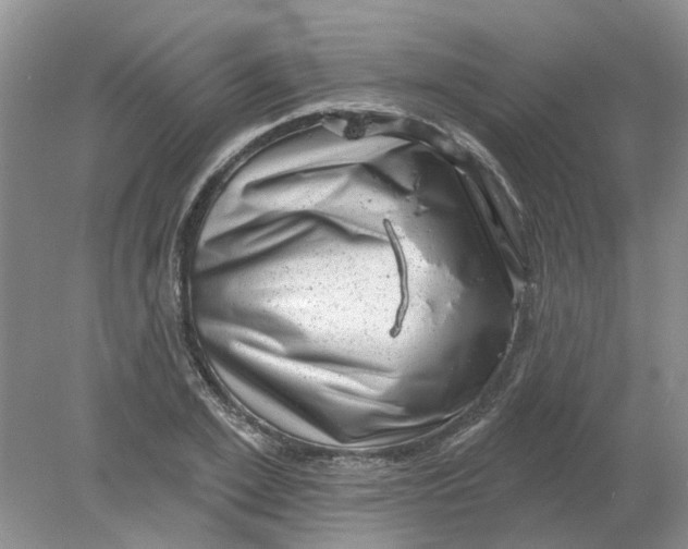 X0000078290981200611172118