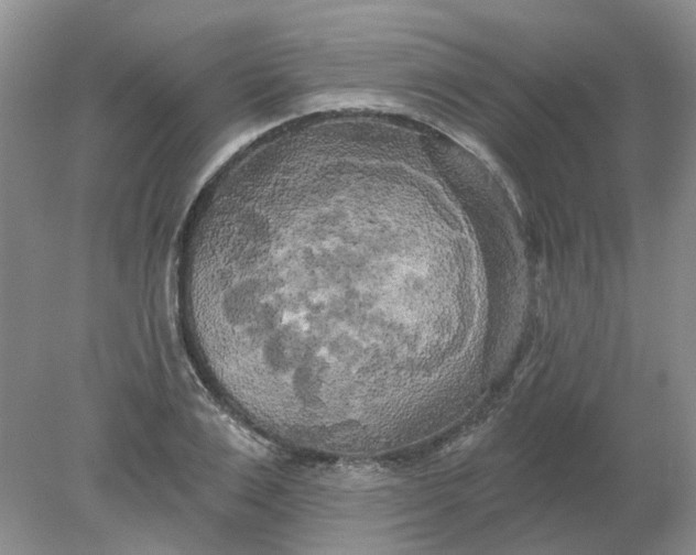 X0000078290983200611172118