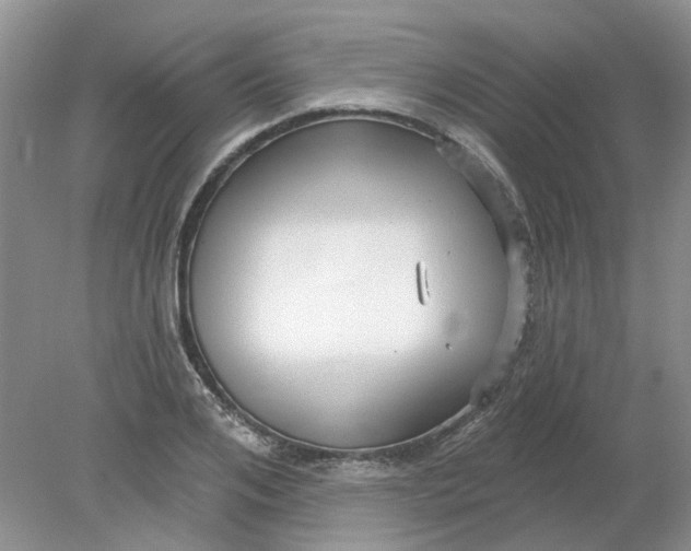 X0000078290984200611172118