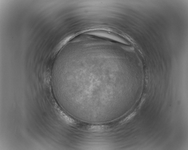 X0000078290985200611172118