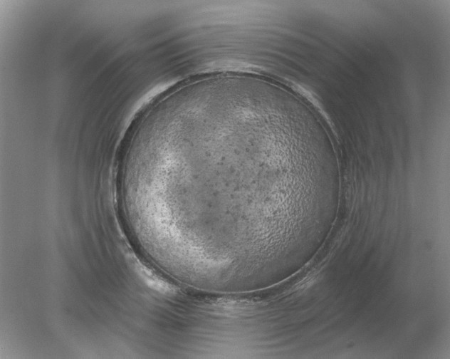 X0000078290987200611172118