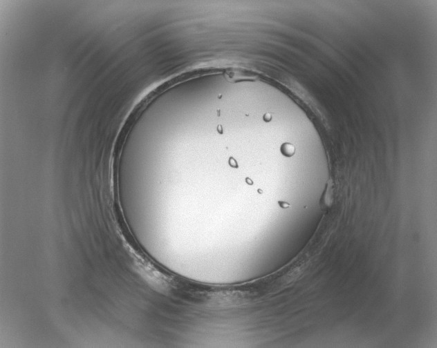 X0000078290988200611172118