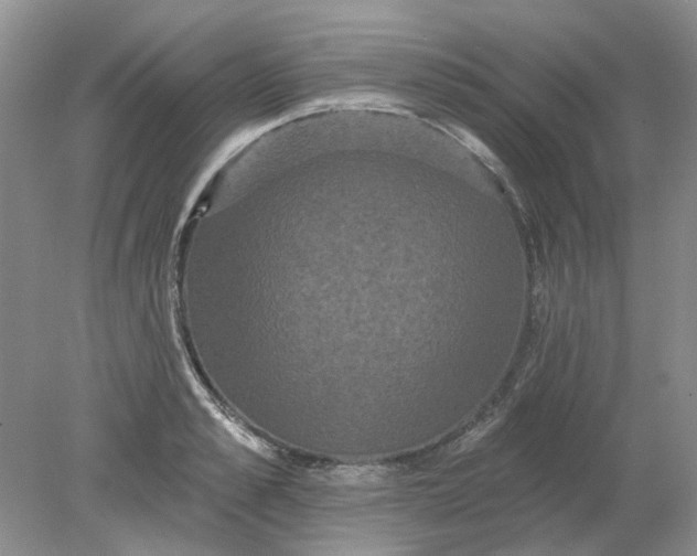 X0000078290989200611172118