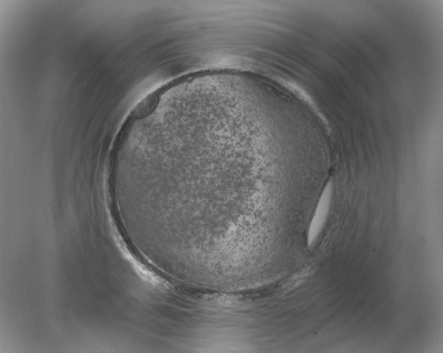 X0000078290991200611172118