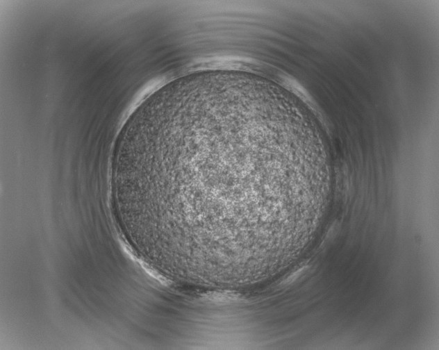 X0000078290994200611172118