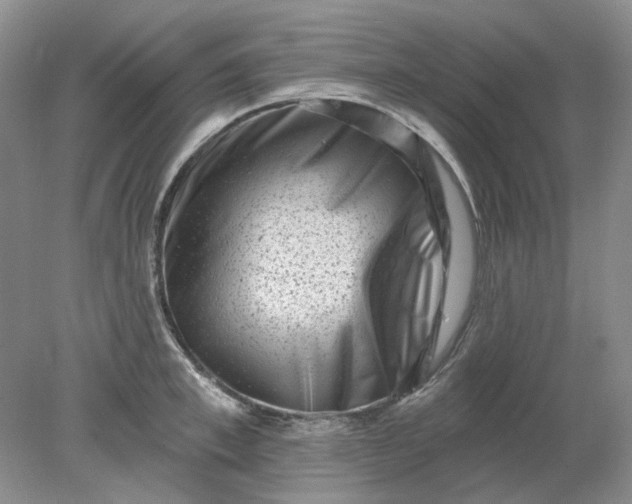 X0000078290997200611172117