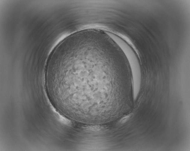 X0000078290999200611172117