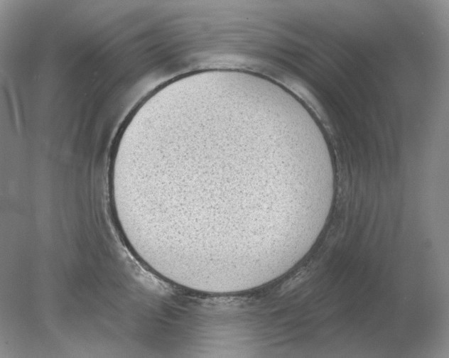 X0000078291000200611172117