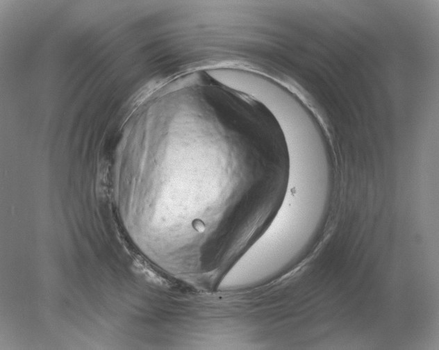 X0000078291001200611172117