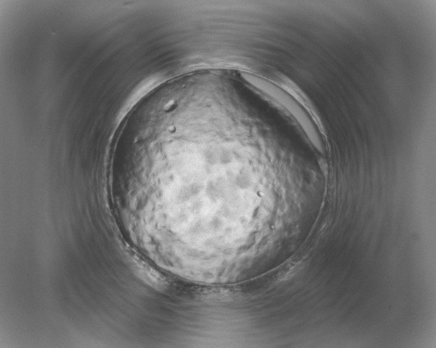 X0000078291002200611172117