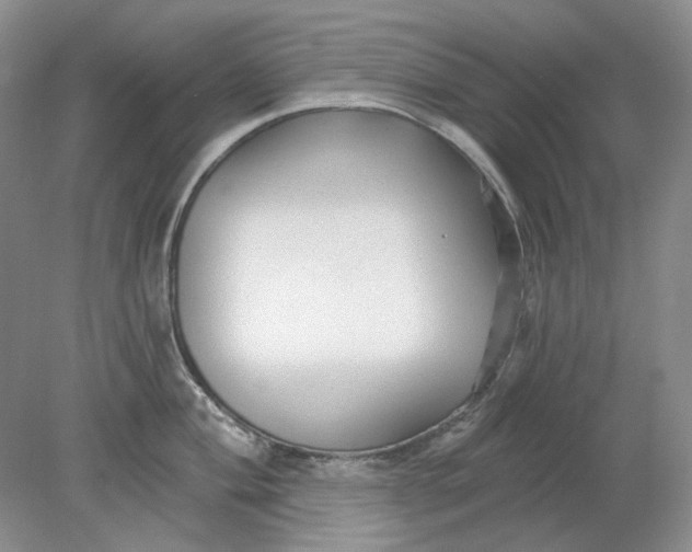 X0000078291004200611172117