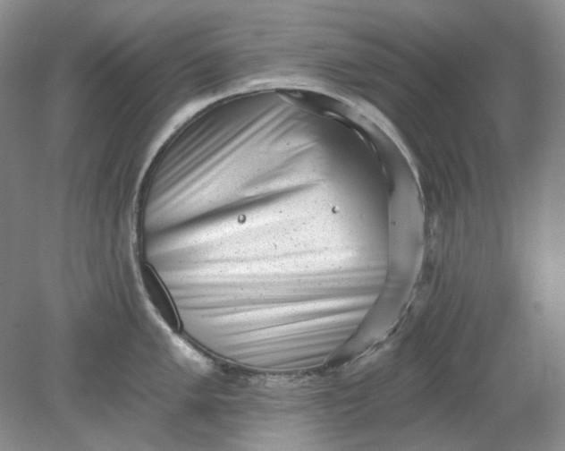 X0000078291005200611172117