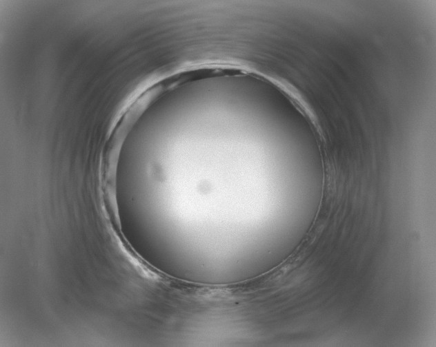 X0000078291006200611172117