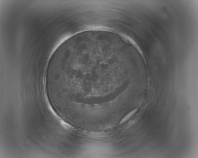 X0000078291007200611172117