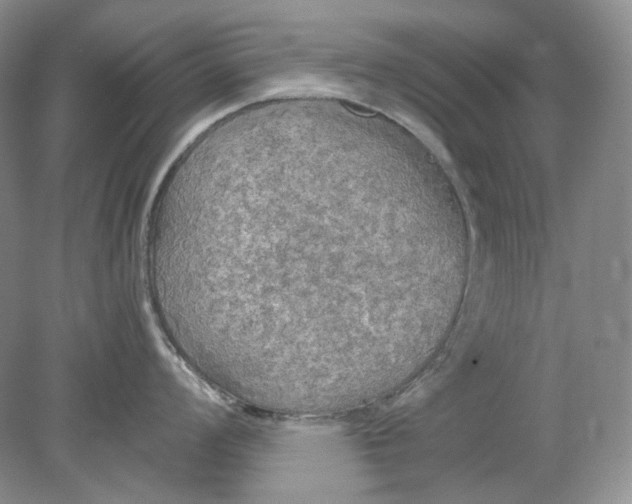 X0000078291008200611172117