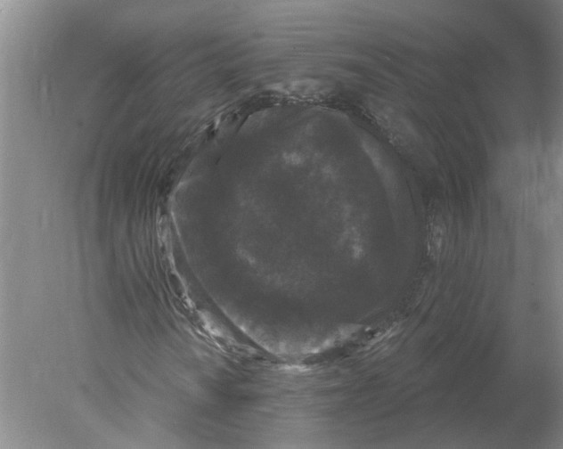 X0000078291010200611172116