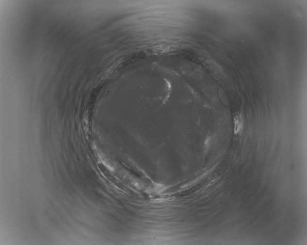 X0000078291011200611172117