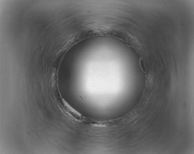 X0000078291012200611172117