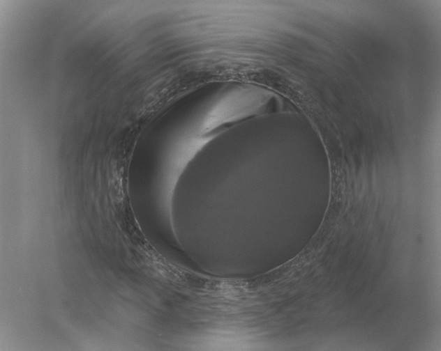 X0000078291013200611172117