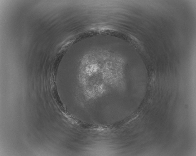 X0000078291014200611172117