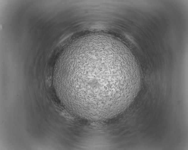 X0000078291015200611172117