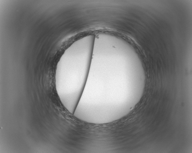 X0000078291016200611172117