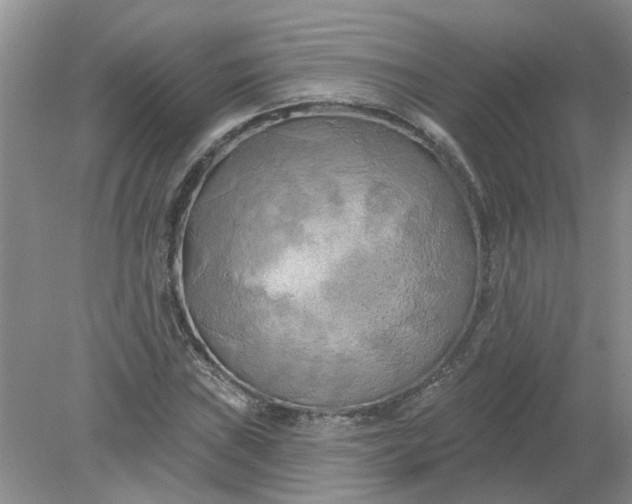 X0000078291019200611172117