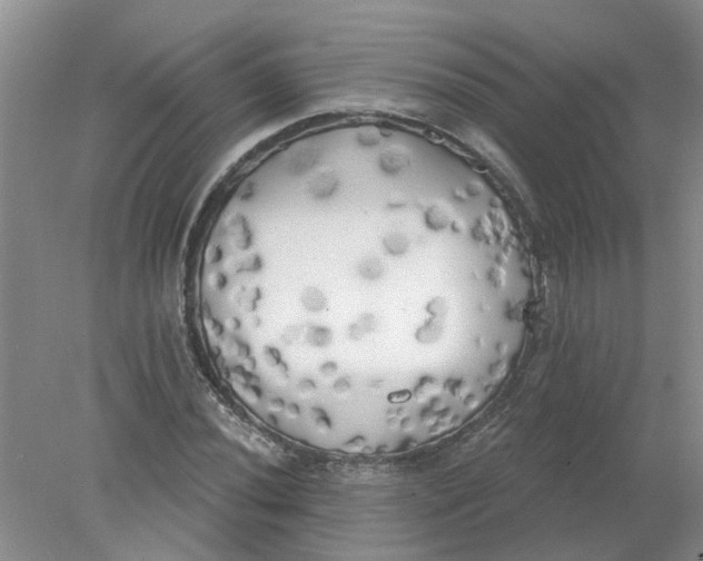 X0000078291020200611172117