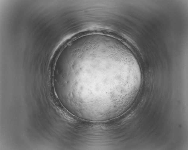 X0000078291021200611172117