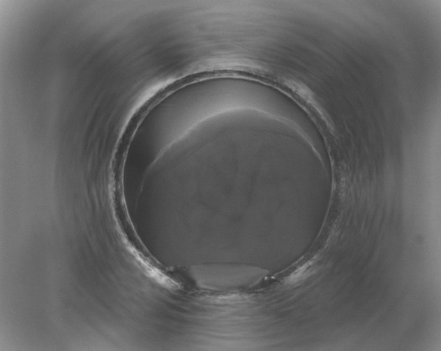 X0000078291024200611172117