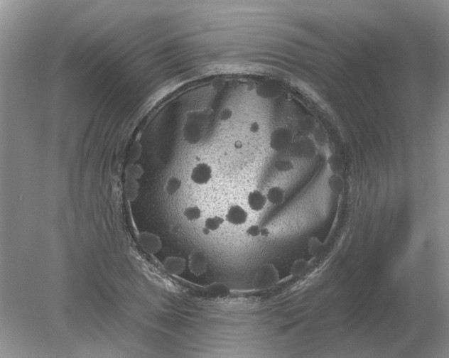 X0000078291025200611172117