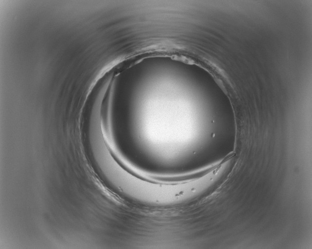 X0000078291026200611172117