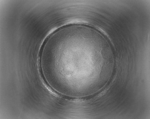 X0000078291029200611172117