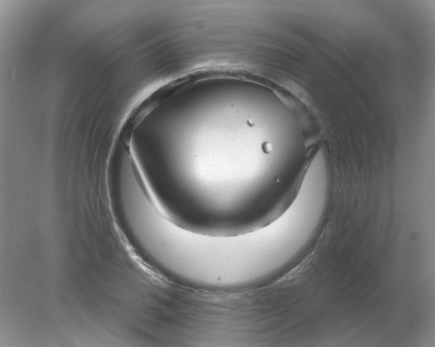 X0000078291030200611172117