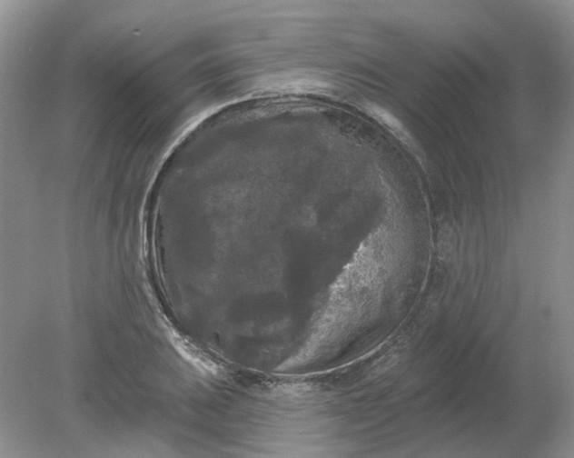 X0000078291031200611172117