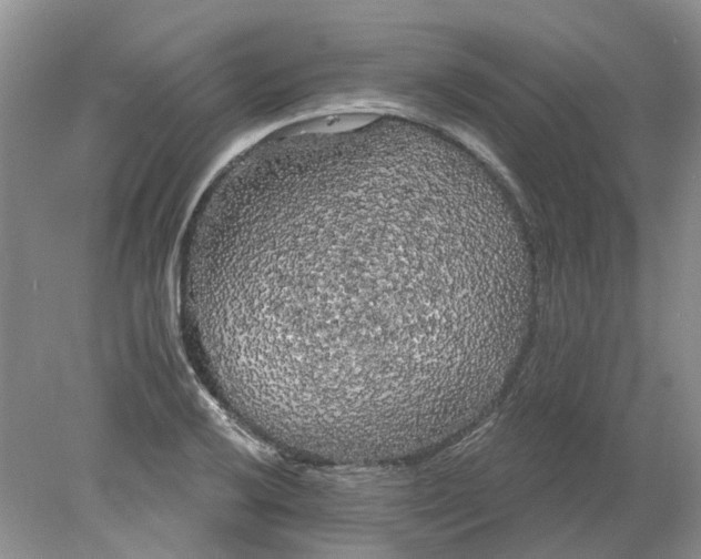 X0000078291032200611172117