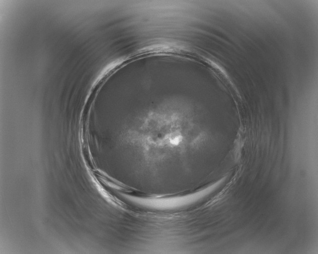 X0000078291034200611172117