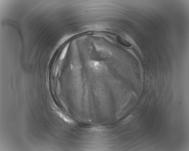 X0000078291035200611172117