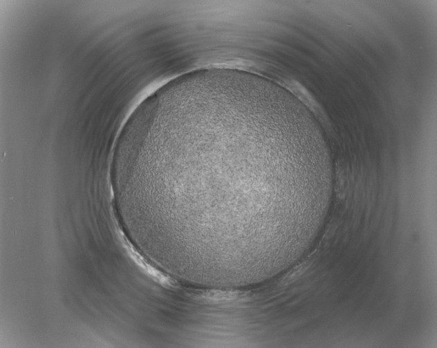 X0000078291036200611172117