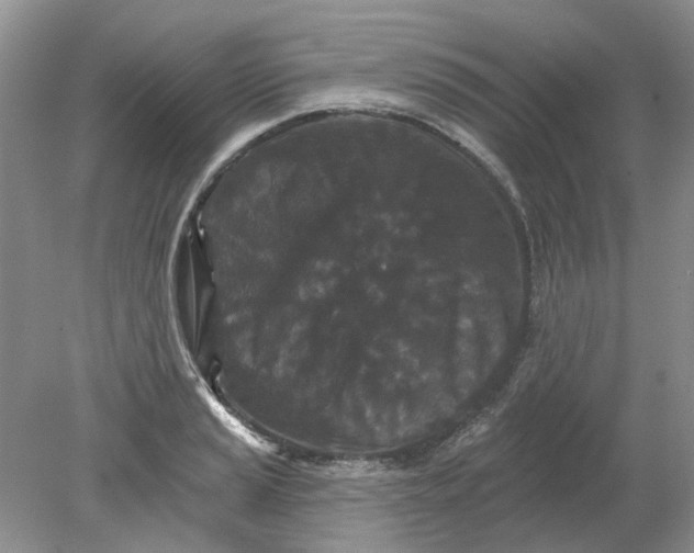 X0000078291037200611172117