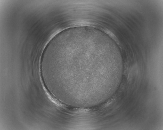 X0000078291039200611172117