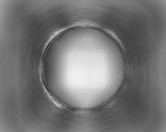 X0000078291040200611172117