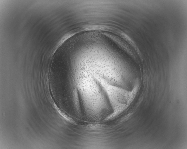 X0000078291041200611172117