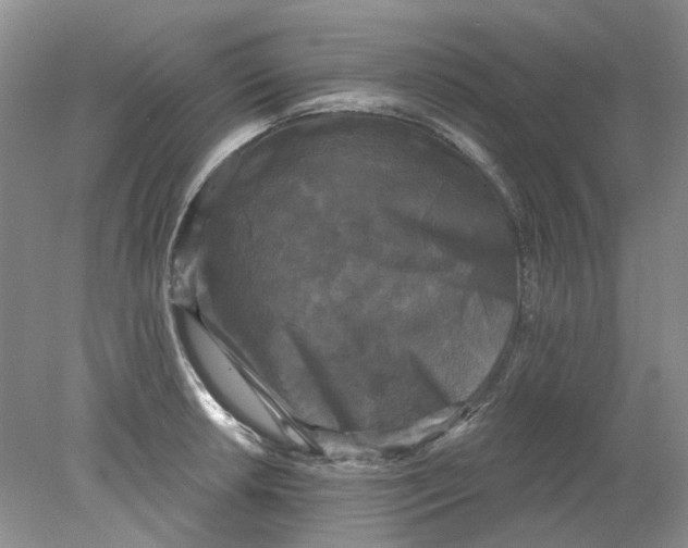 X0000078291042200611172117