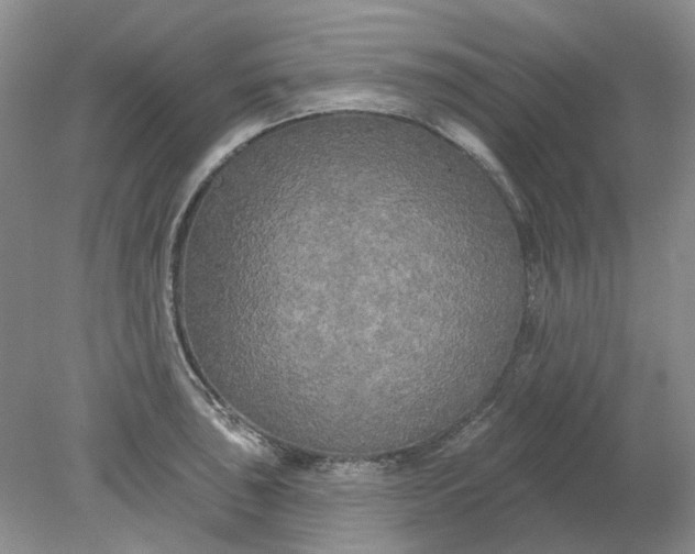 X0000078291043200611172117