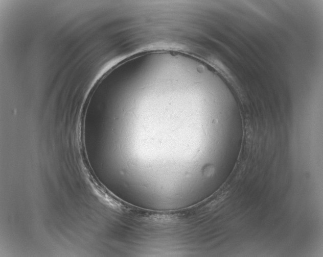 X0000078291044200611172117